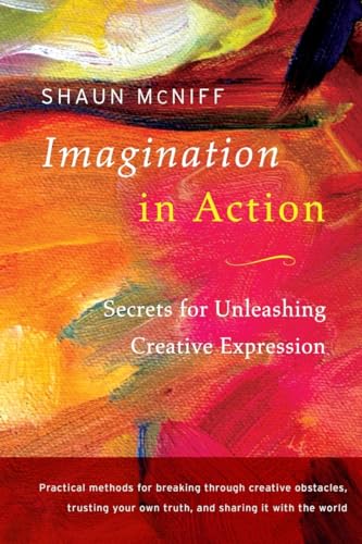 Imagination in Action: Secrets for Unleashing Creative Expression von Shambhala Publications